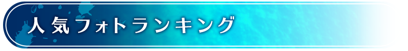 海画像人気ランキング